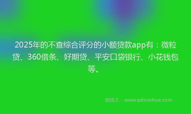 2025年的不查综合评分的小额贷款app有：微粒贷、360借条、好期贷、平安口袋银行、小花钱包等。