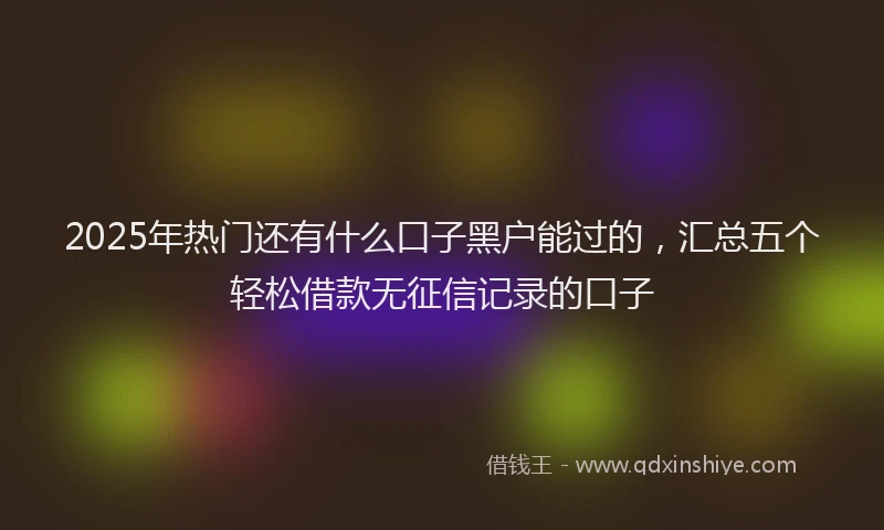 2025年热门还有什么口子黑户能过的，汇总五个轻松借款无征信记录的口子
