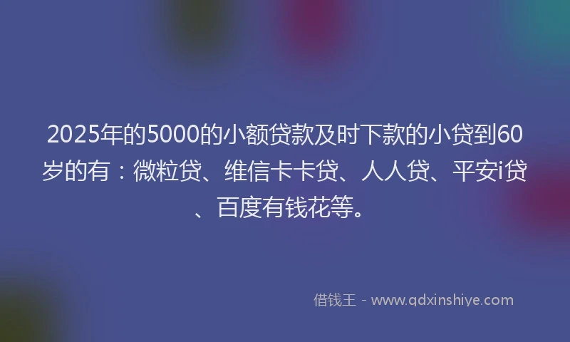2025年的5000的小额贷款及时下款的小贷到60岁的有：微粒贷、维信卡卡贷、人人贷、平安i贷、百度有钱花等。