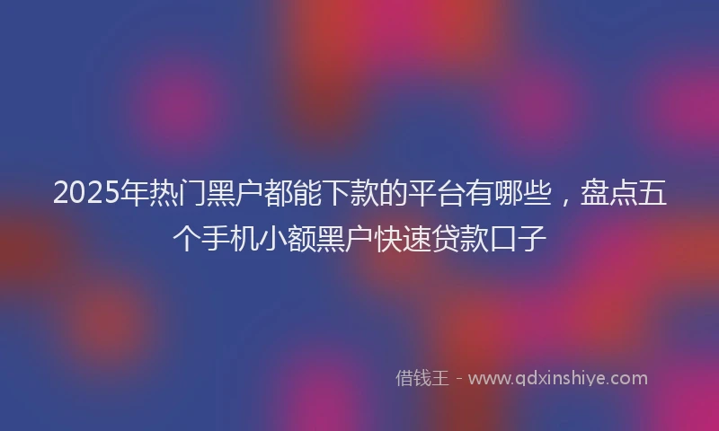 2025年热门黑户都能下款的平台有哪些，盘点五个手机小额黑户快速贷款口子