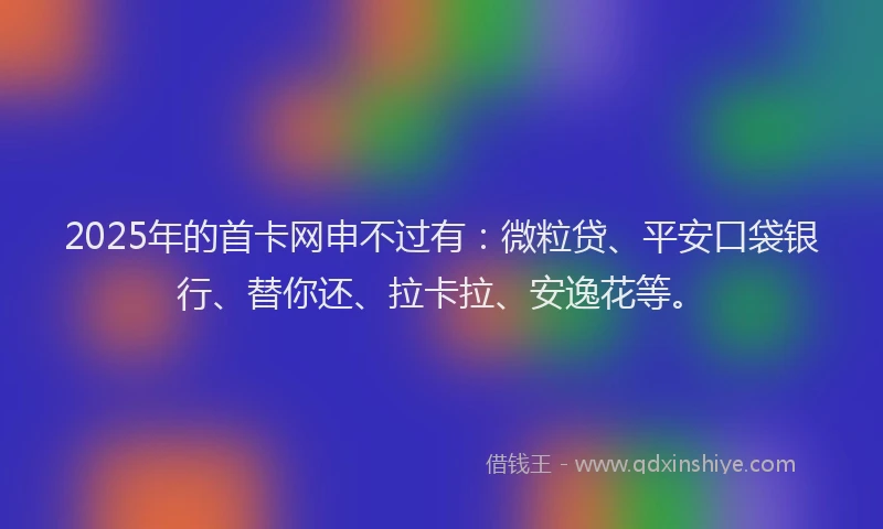2025年的首卡网申不过有：微粒贷、平安口袋银行、替你还、拉卡拉、安逸花等。