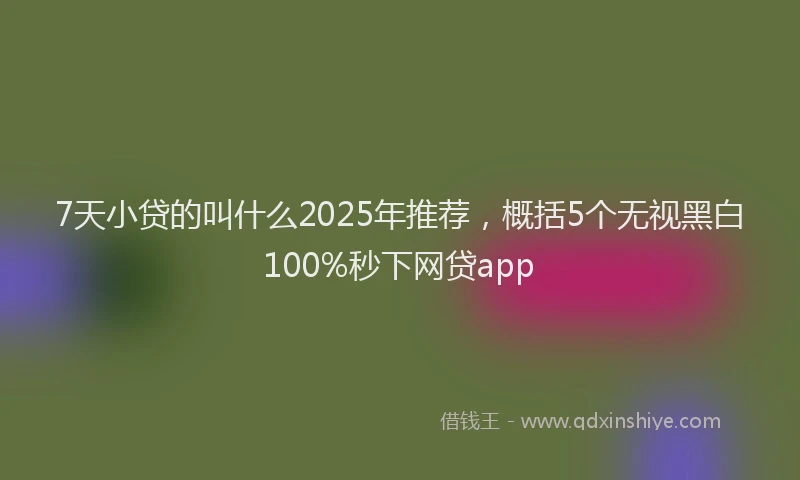 7天小贷的叫什么2025年推荐，概括5个无视黑白100%秒下网贷app