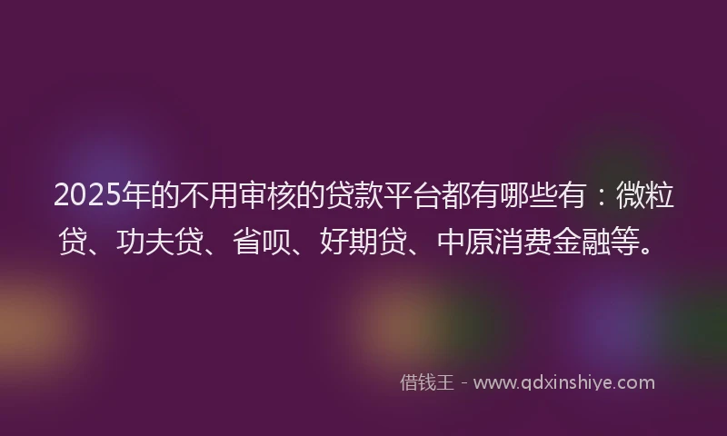 2025年的不用审核的贷款平台都有哪些有：微粒贷、功夫贷、省呗、好期贷、中原消费金融等。