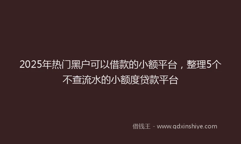 2025年热门黑户可以借款的小额平台，整理5个不查流水的小额度贷款平台