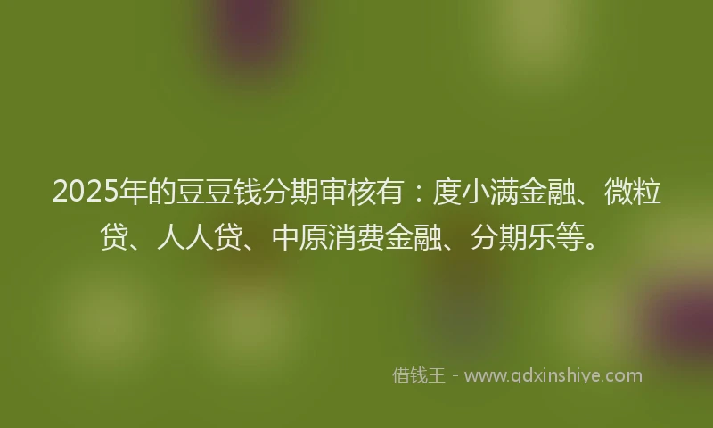 2025年的豆豆钱分期审核有：度小满金融、微粒贷、人人贷、中原消费金融、分期乐等。