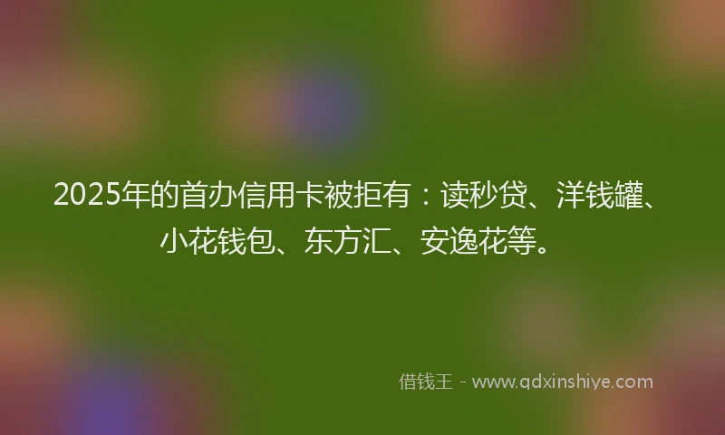 2025年的首办信用卡被拒有：读秒贷、洋钱罐、小花钱包、东方汇、安逸花等。