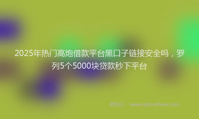 2025年热门高炮借款平台黑口子链接安全吗，罗列5个5000块贷款秒下平台