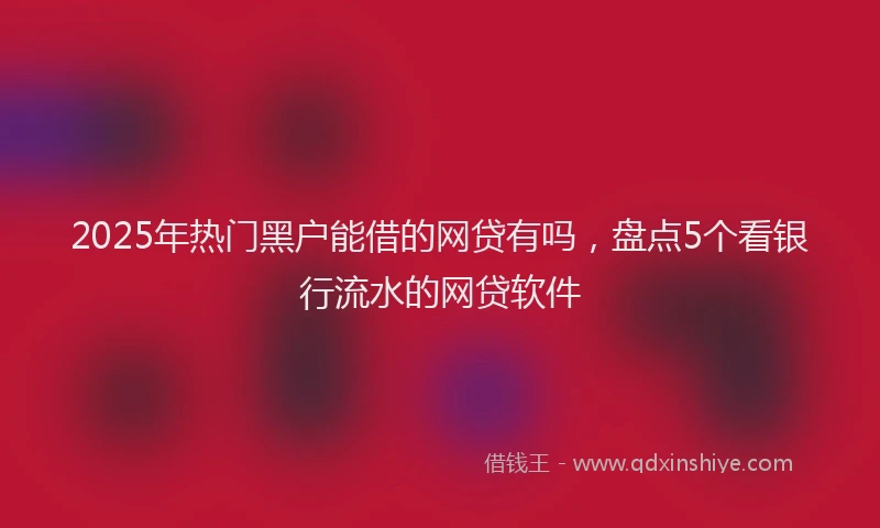 2025年热门黑户能借的网贷有吗，盘点5个看银行流水的网贷软件