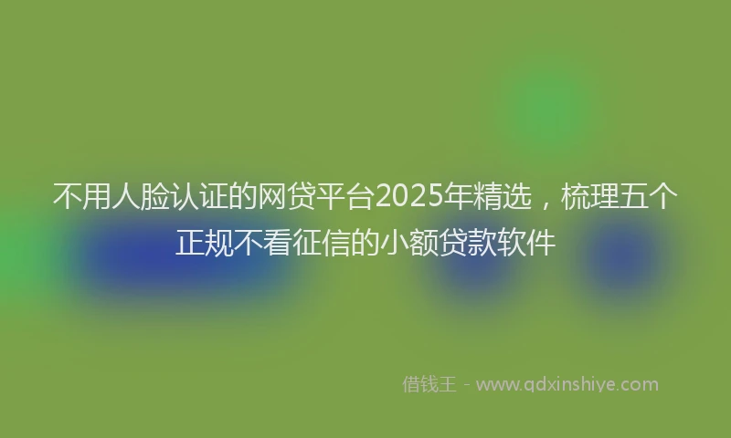 不用人脸认证的网贷平台2025年精选，梳理五个正规不看征信的小额贷款软件