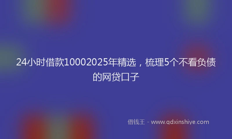 24小时借款10002025年精选，梳理5个不看负债的网贷口子