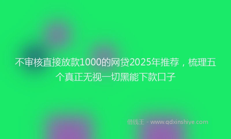 不审核直接放款1000的网贷2025年推荐，梳理五个真正无视一切黑能下款口子