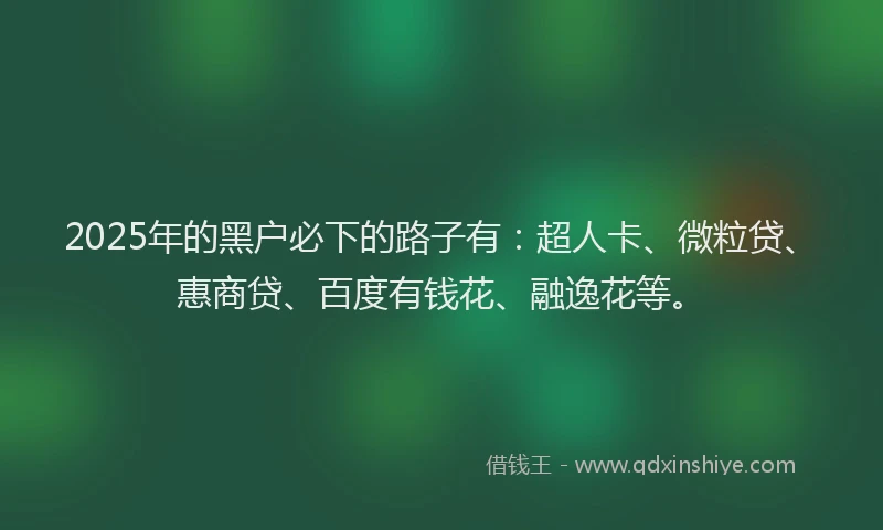 2025年的黑户必下的路子有：超人卡、微粒贷、惠商贷、百度有钱花、融逸花等。