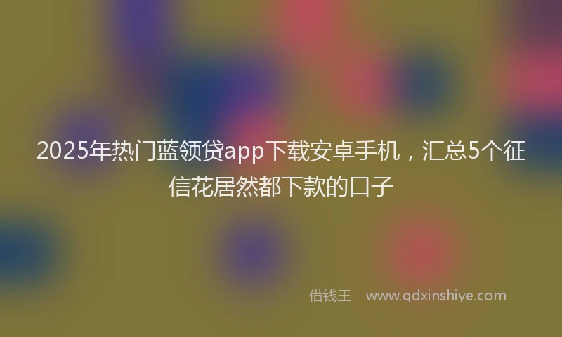 2025年热门蓝领贷app下载安卓手机，汇总5个征信花居然都下款的口子
