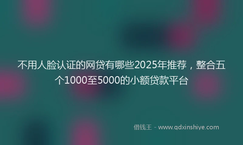 不用人脸认证的网贷有哪些2025年推荐，整合五个1000至5000的小额贷款平台