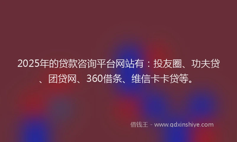 2025年的贷款咨询平台网站有：投友圈、功夫贷、团贷网、360借条、维信卡卡贷等。
