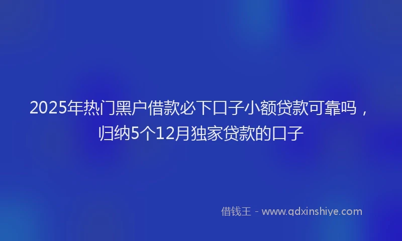 2025年热门黑户借款必下口子小额贷款可靠吗，归纳5个12月独家贷款的口子