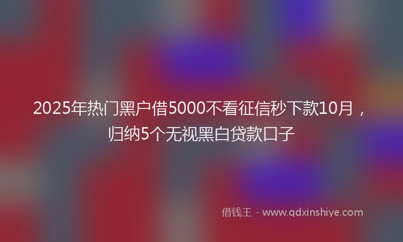 2025年热门黑户借5000不看征信秒下款10月，归纳5个无视黑白贷款口子