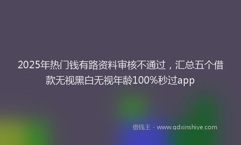 2025年热门钱有路资料审核不通过，汇总五个借款无视黑白无视年龄100%秒过app