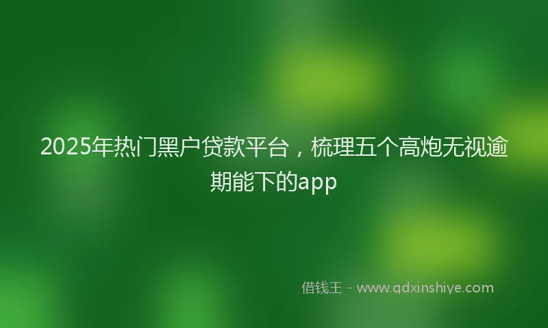 2025年热门黑户贷款平台，梳理五个高炮无视逾期能下的app