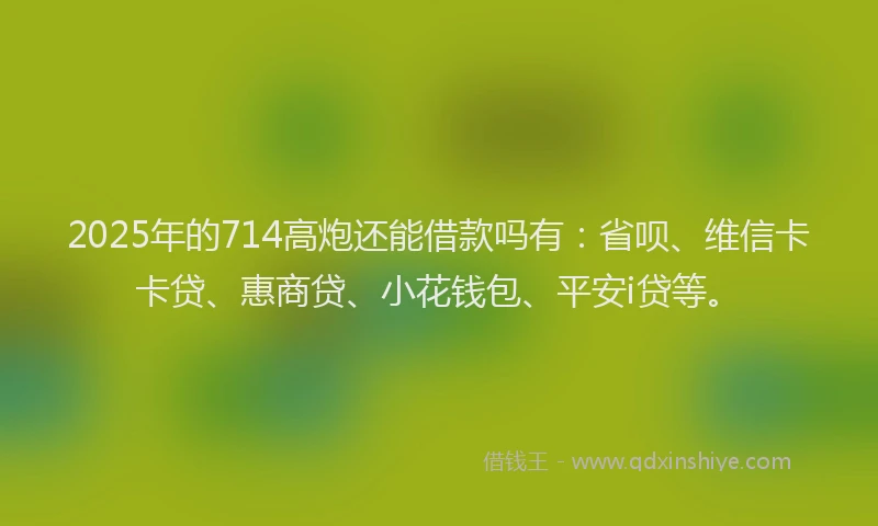 2025年的714高炮还能借款吗有：省呗、维信卡卡贷、惠商贷、小花钱包、平安i贷等。