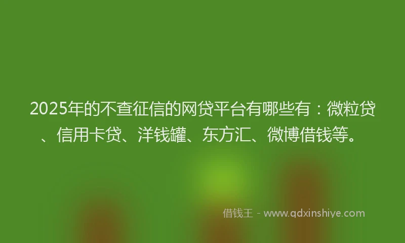 2025年的不查征信的网贷平台有哪些有：微粒贷、信用卡贷、洋钱罐、东方汇、微博借钱等。