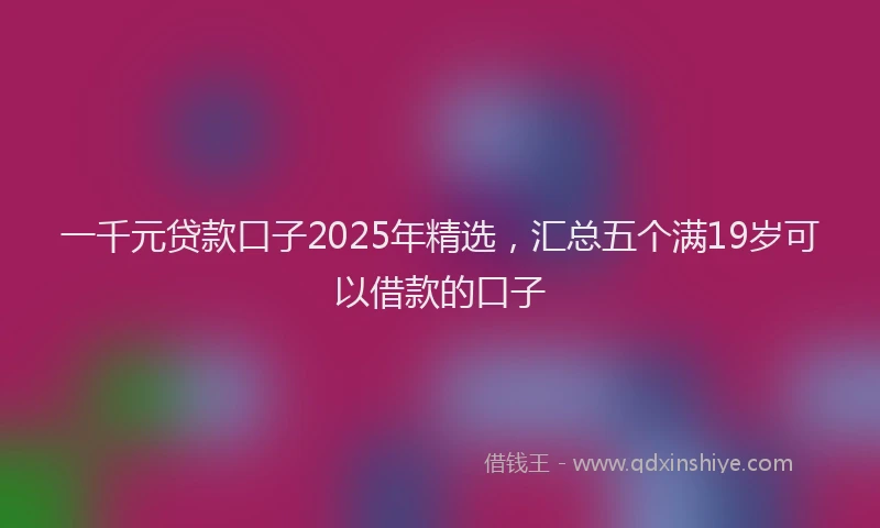 一千元贷款口子2025年精选，汇总五个满19岁可以借款的口子