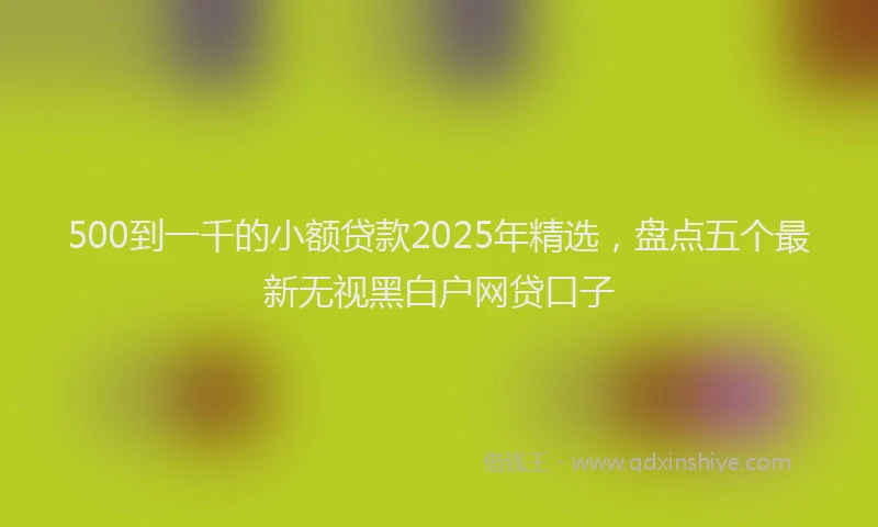 500到一千的小额贷款2025年精选，盘点五个最新无视黑白户网贷口子