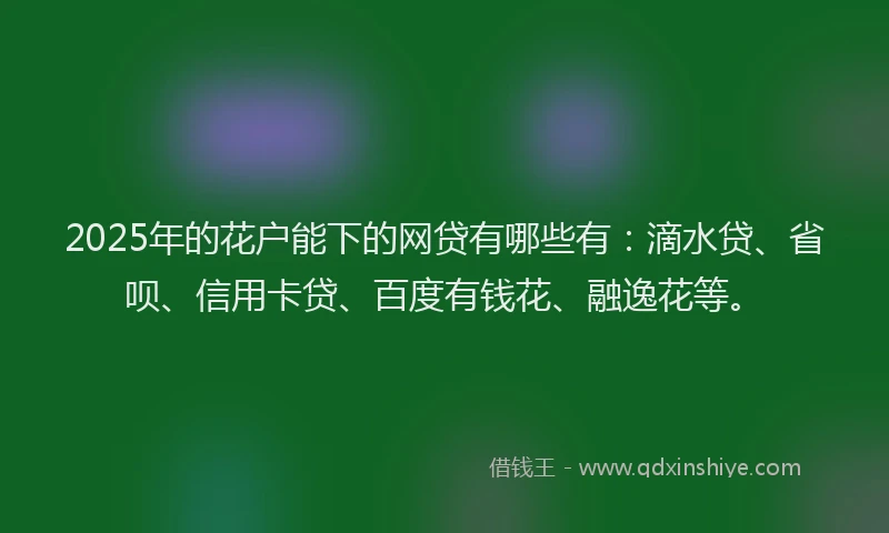 2025年的花户能下的网贷有哪些有：滴水贷、省呗、信用卡贷、百度有钱花、融逸花等。