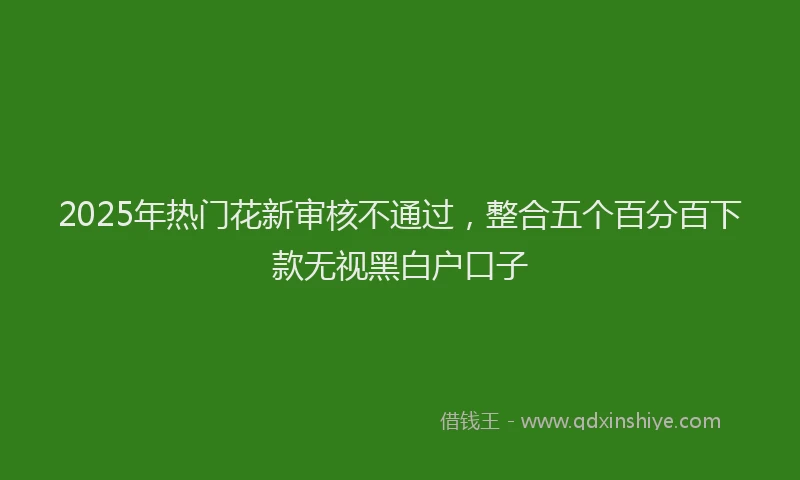 2025年热门花新审核不通过，整合五个百分百下款无视黑白户口子