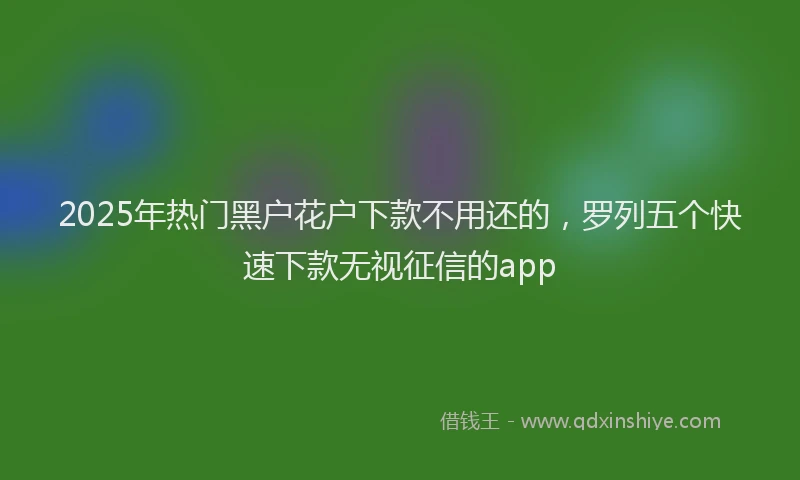 2025年热门黑户花户下款不用还的，罗列五个快速下款无视征信的app