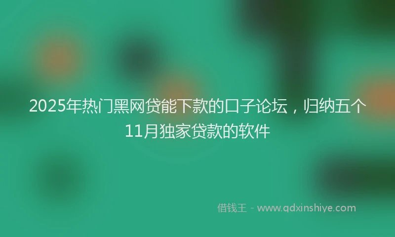 2025年热门黑网贷能下款的口子论坛，归纳五个11月独家贷款的软件