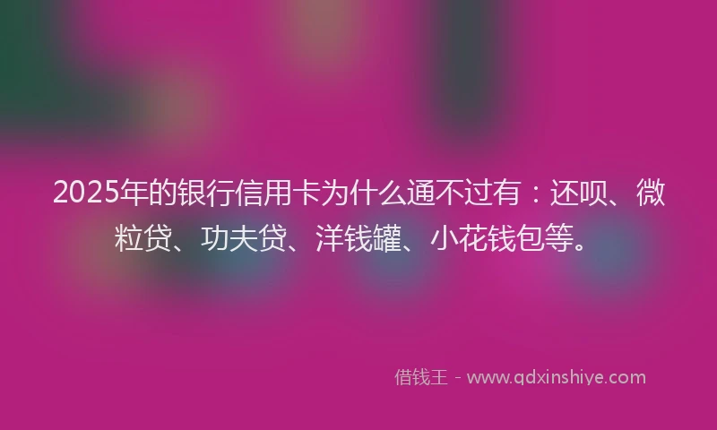 2025年的银行信用卡为什么通不过有:还呗、微粒贷、功夫贷、洋钱罐、小花钱包等。