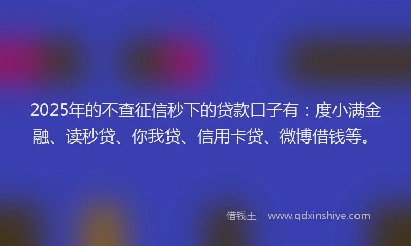2025年的不查征信秒下的贷款口子有：度小满金融、读秒贷、你我贷、信用卡贷、微博借钱等。