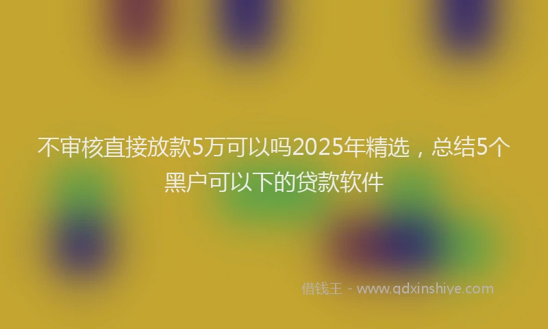 不审核直接放款5万可以吗2025年精选，总结5个黑户可以下的贷款软件