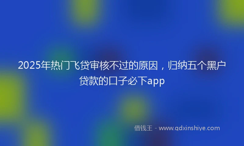 2025年热门飞贷审核不过的原因，归纳五个黑户贷款的口子必下app