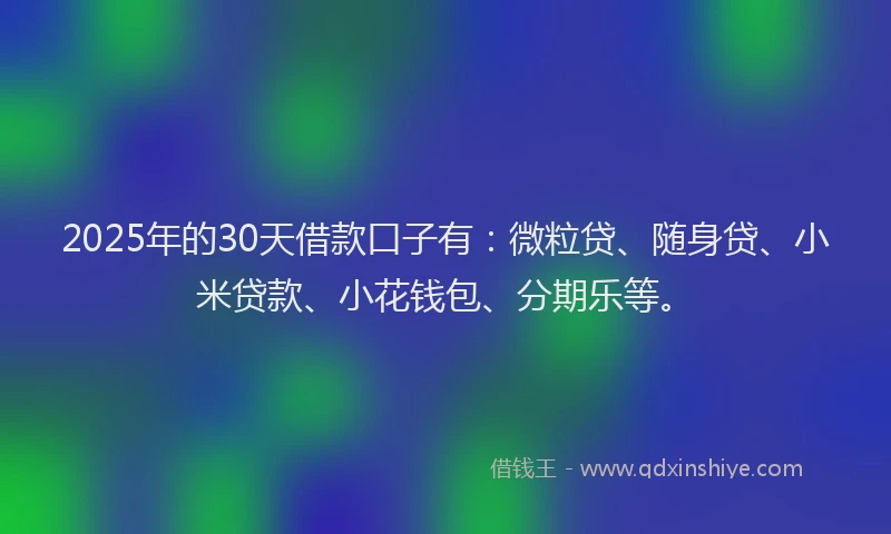 2025年的30天借款口子有：微粒贷、随身贷、小米贷款、小花钱包、分期乐等。