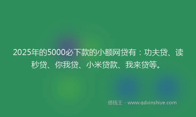 2025年的5000必下款的小额网贷有：功夫贷、读秒贷、你我贷、小米贷款、我来贷等。