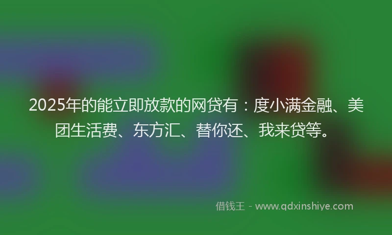 2025年的能立即放款的网贷有：度小满金融、美团生活费、东方汇、替你还、我来贷等。