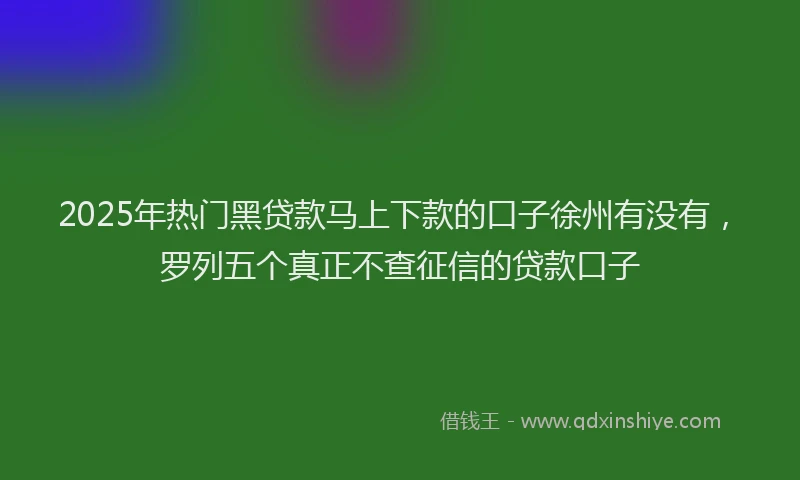 2025年热门黑贷款马上下款的口子徐州有没有，罗列五个真正不查征信的贷款口子