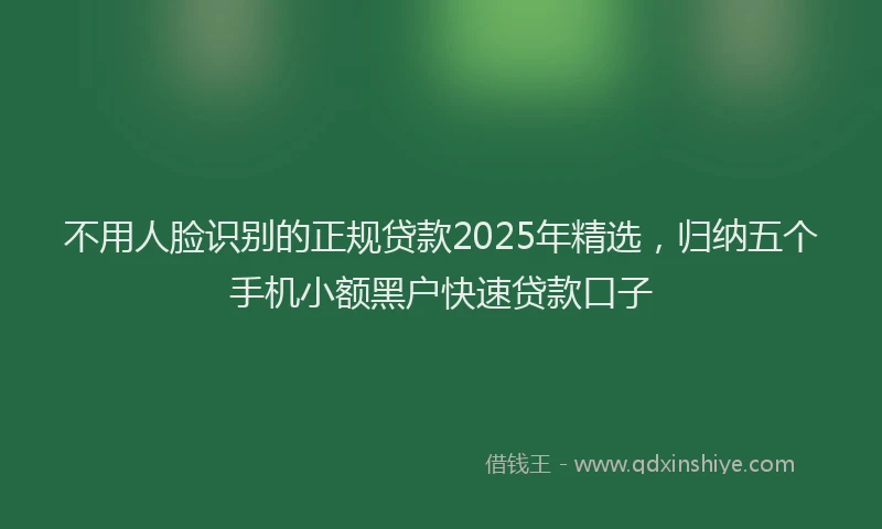 不用人脸识别的正规贷款2025年精选，归纳五个手机小额黑户快速贷款口子