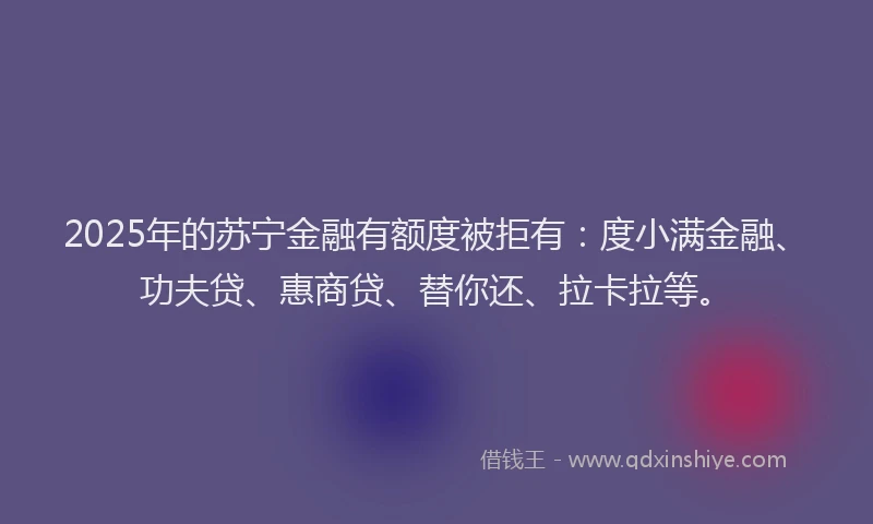 2025年的苏宁金融有额度被拒有：度小满金融、功夫贷、惠商贷、替你还、拉卡拉等。