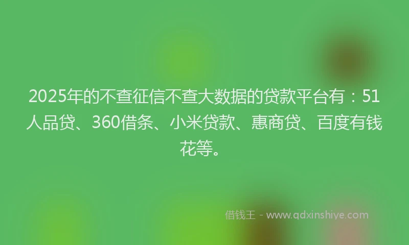 2025年的不查征信不查大数据的贷款平台有：51人品贷、360借条、小米贷款、惠商贷、百度有钱花等。
