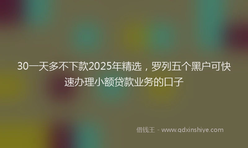 30一天多不下款2025年精选，罗列五个黑户可快速办理小额贷款业务的口子