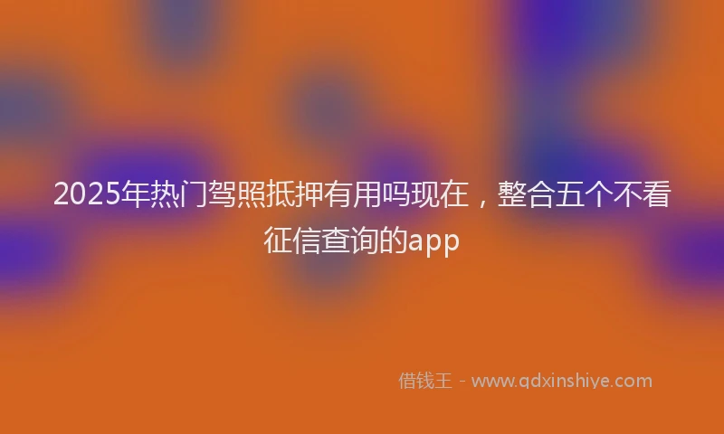 2025年热门驾照抵押有用吗现在，整合五个不看征信查询的app
