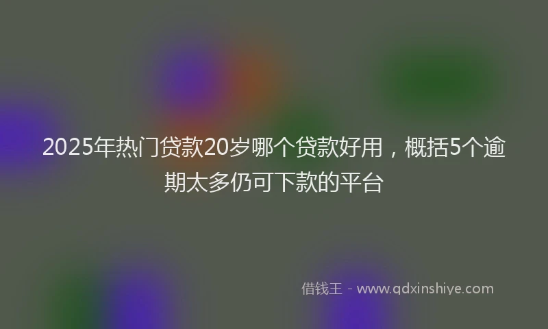 2025年热门贷款20岁哪个贷款好用，概括5个逾期太多仍可下款的平台