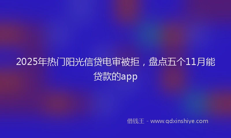 2025年热门阳光信贷电审被拒，盘点五个11月能贷款的app