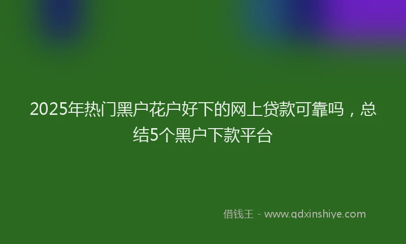 2025年热门黑户花户好下的网上贷款可靠吗，总结5个黑户下款平台