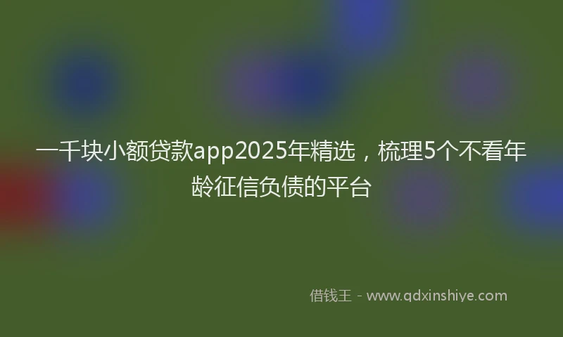 一千块小额贷款app2025年精选，梳理5个不看年龄征信负债的平台
