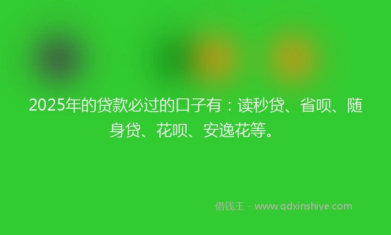 2025年的贷款必过的口子有：读秒贷、省呗、随身贷、花呗、安逸花等。