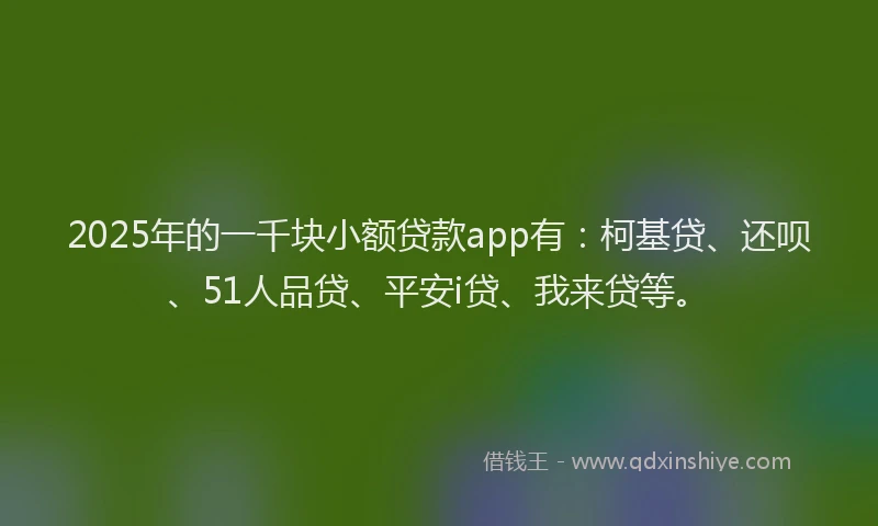 2025年的一千块小额贷款app有：柯基贷、还呗、51人品贷、平安i贷、我来贷等。